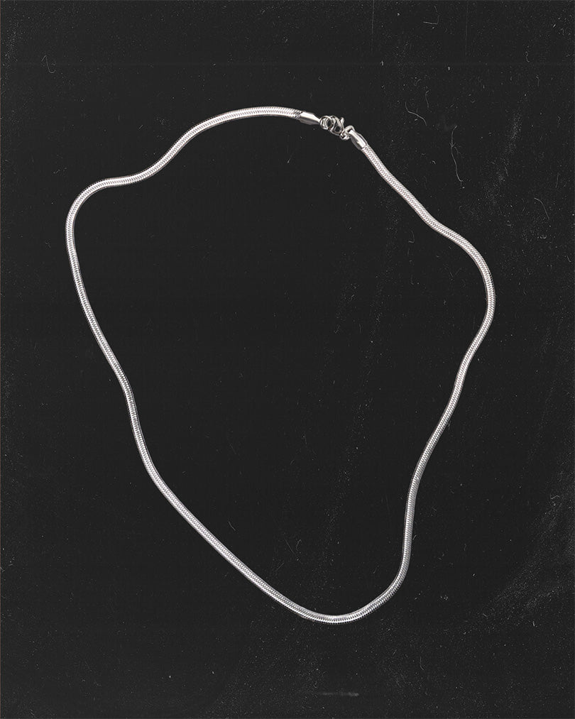 THIN SNAKE